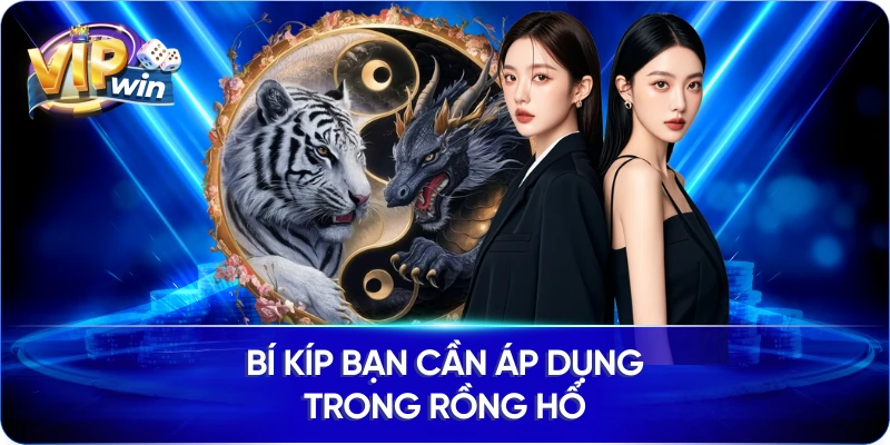 Bí kíp bạn cần áp dụng trong Rồng Hổ