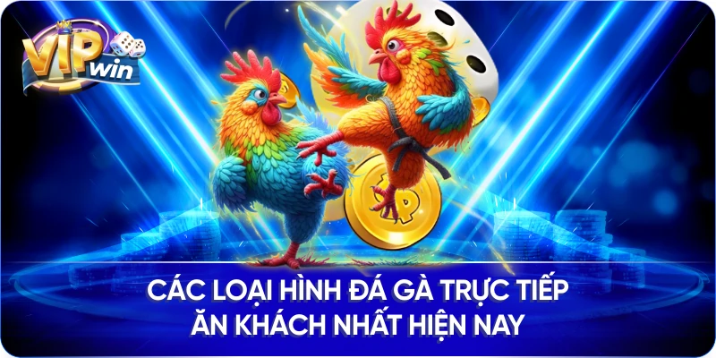 Các loại hình đá gà trực tiếp ăn khách nhất hiện nay
