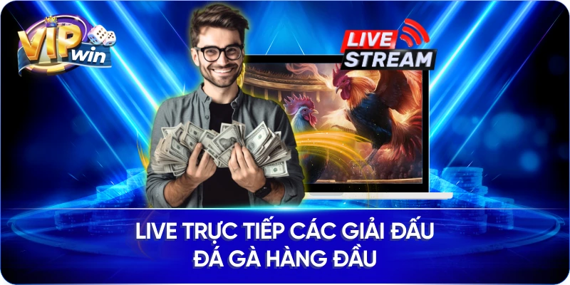Live trực tiếp các giải đấu đá gà hàng đầu