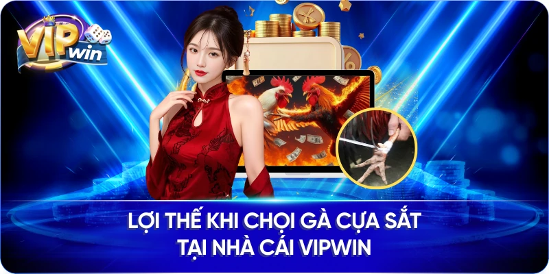 Lợi thế khi chọi gà cựa sắt tại nhà cái VIPWIN