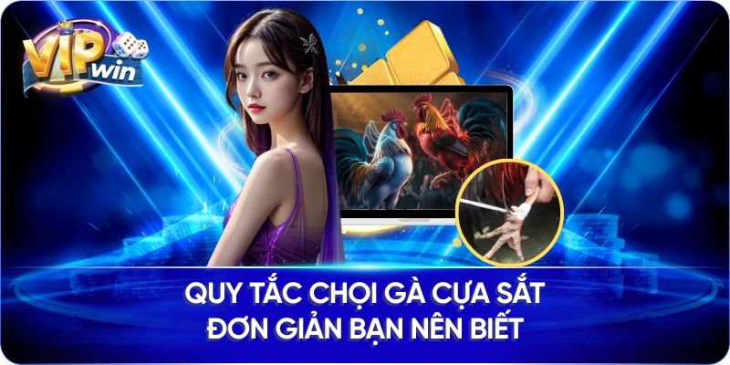 Quy tắc chọi gà cựa sắt đơn giản bạn nên biết