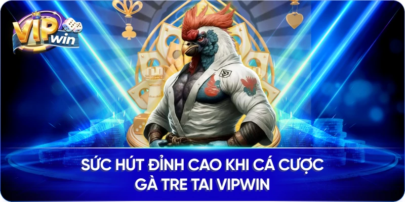 Sức hút đỉnh cao khi cá cược gà tre tai VIPWIN