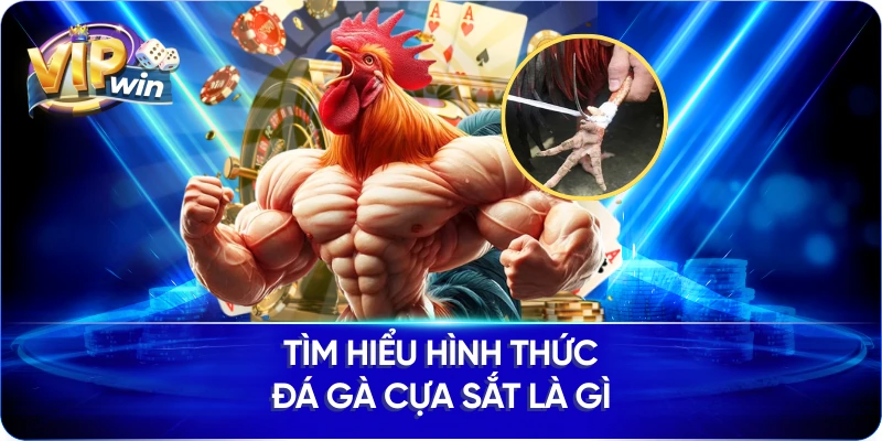 Tìm hiểu hình thức đá gà cựa sắt là gì