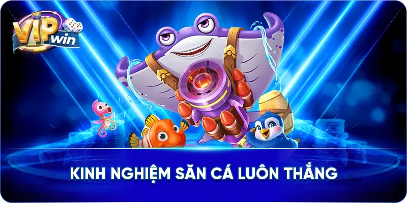 Kinh nghiệm săn cá luôn thắng
